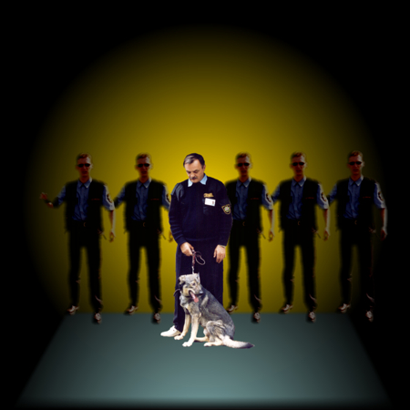 (79kB)