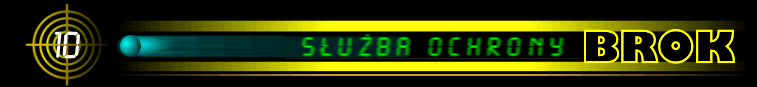 (17kB)